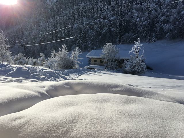 Ferienwohnungen am Moosbach